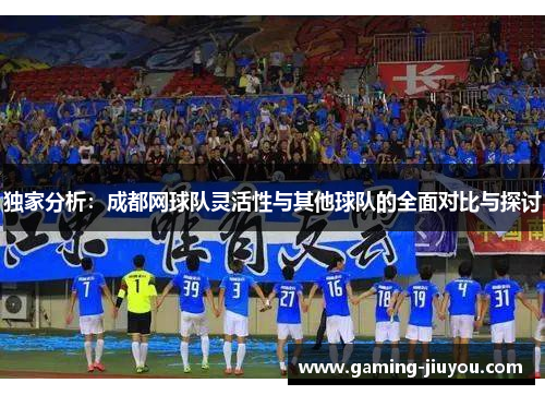 独家分析：成都网球队灵活性与其他球队的全面对比与探讨
