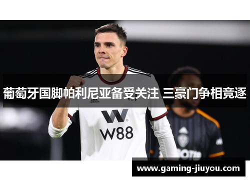 葡萄牙国脚帕利尼亚备受关注 三豪门争相竞逐